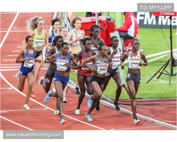 坦巴克蒂比赛影响力