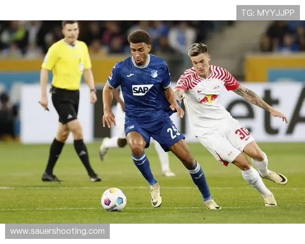 奥地利维也纳主场表现稳健，近期战绩走势清晰